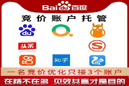 Sem优化公司成功案例：快速占领市场